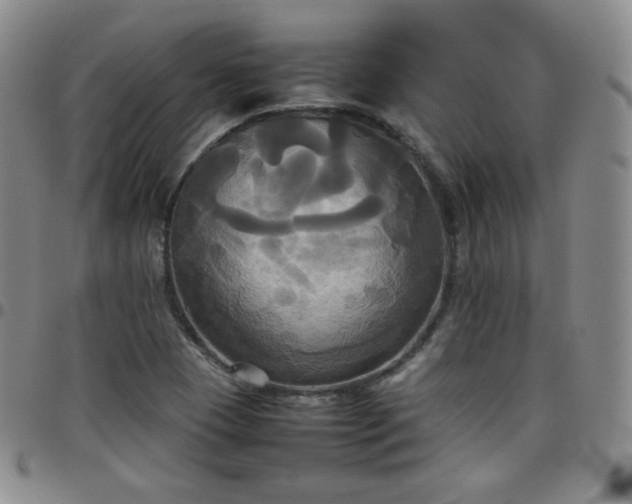 X0000099231409200805011127