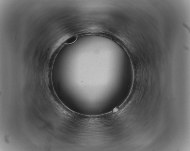 X0000099231410200805011127