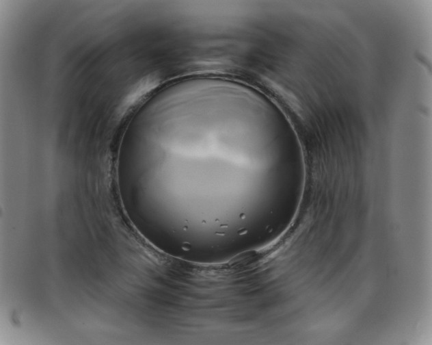 X0000099231411200805011127