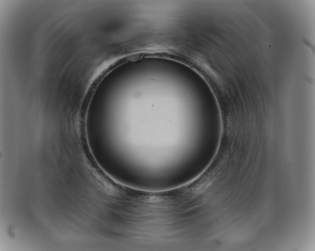 X0000099231412200805011127