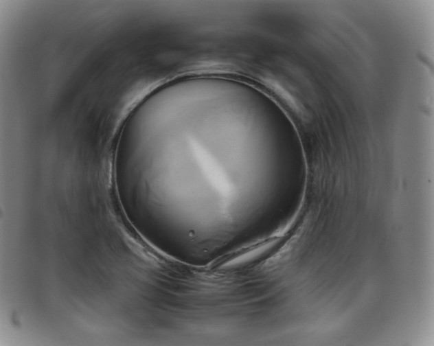 X0000099231413200805011127