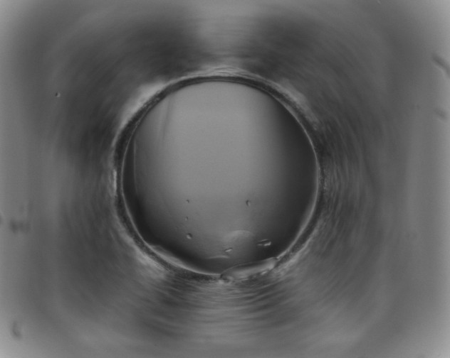 X0000099231414200805011127