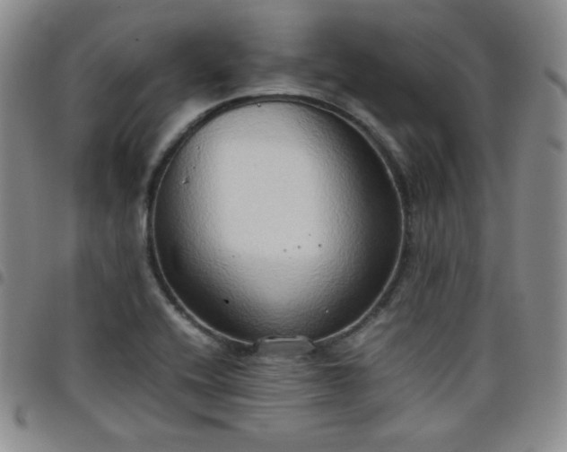 X0000099231416200805011127