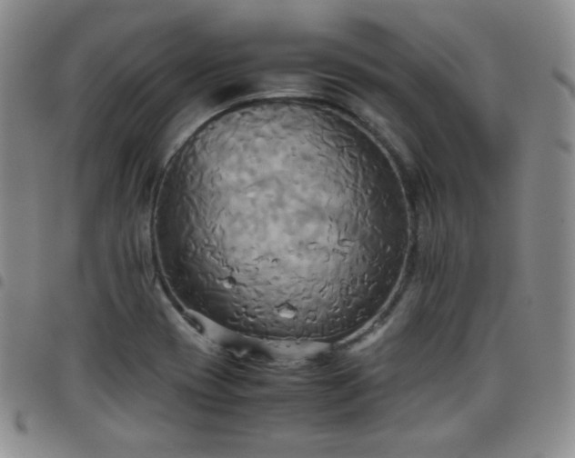 X0000099231417200805011127