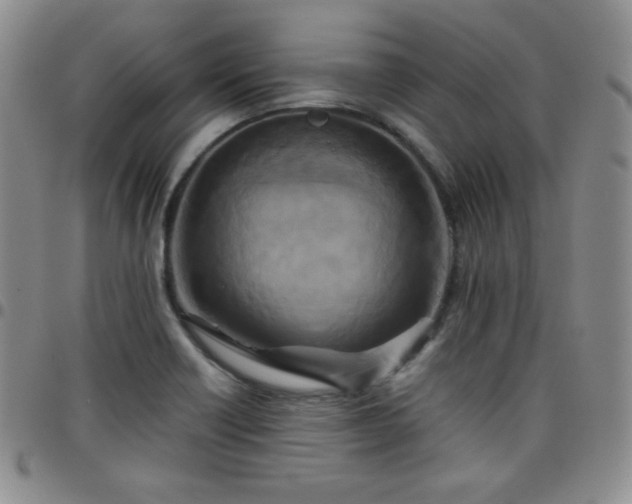 X0000099231418200805011127