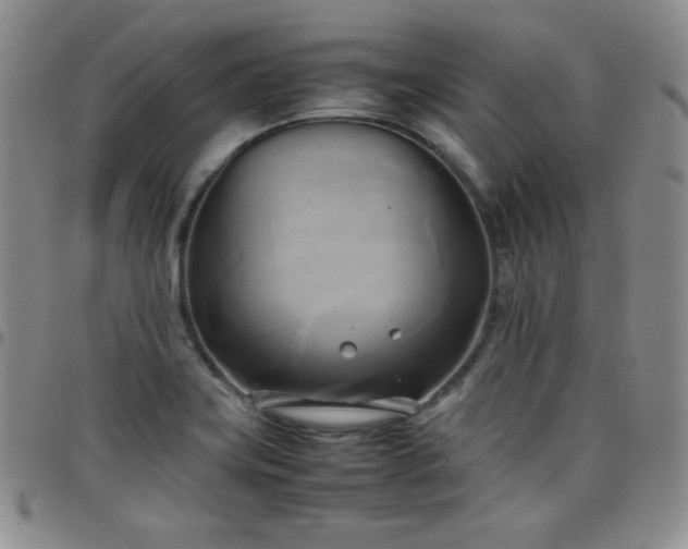 X0000099231419200805011127