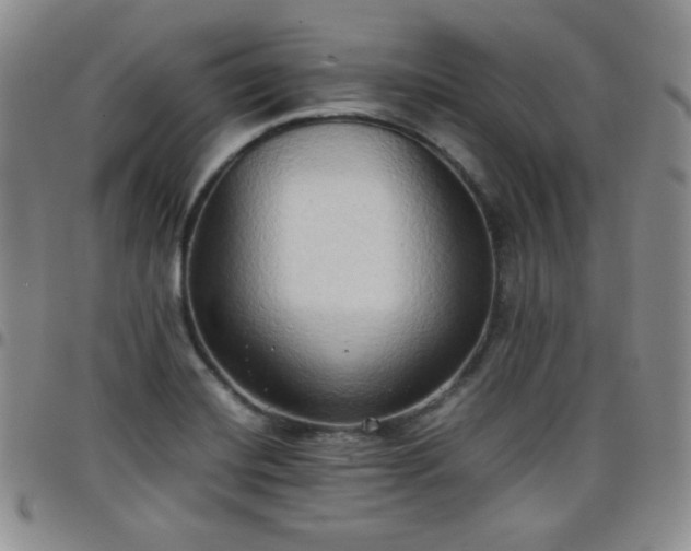 X0000099231420200805011127