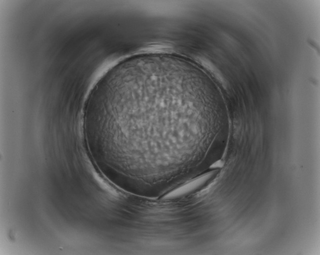 X0000099231421200805011127