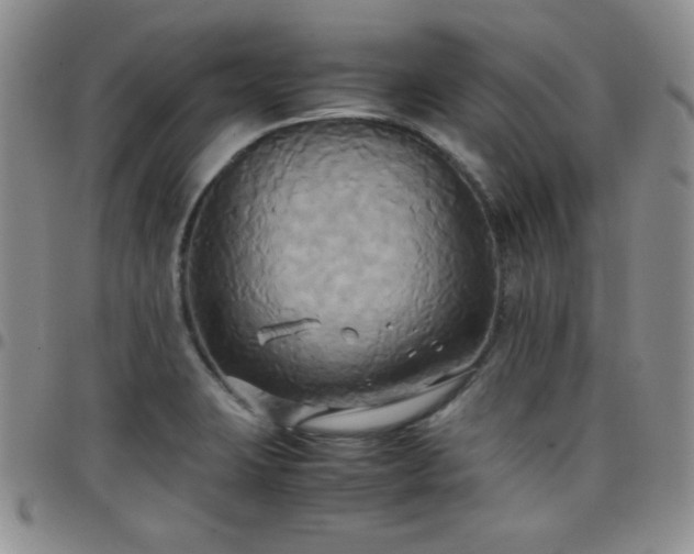 X0000099231423200805011127