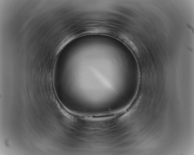 X0000099231425200805011127