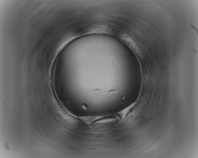 X0000099231427200805011127