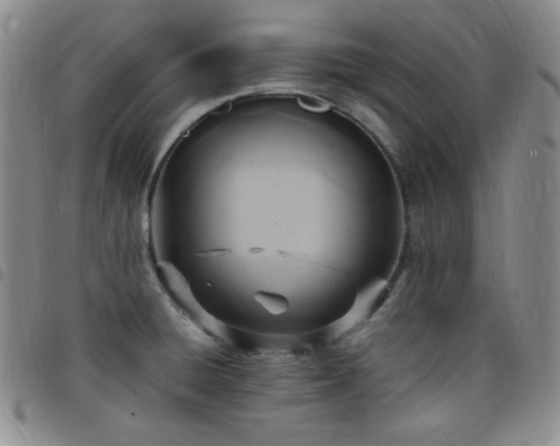 X0000099231428200805011127