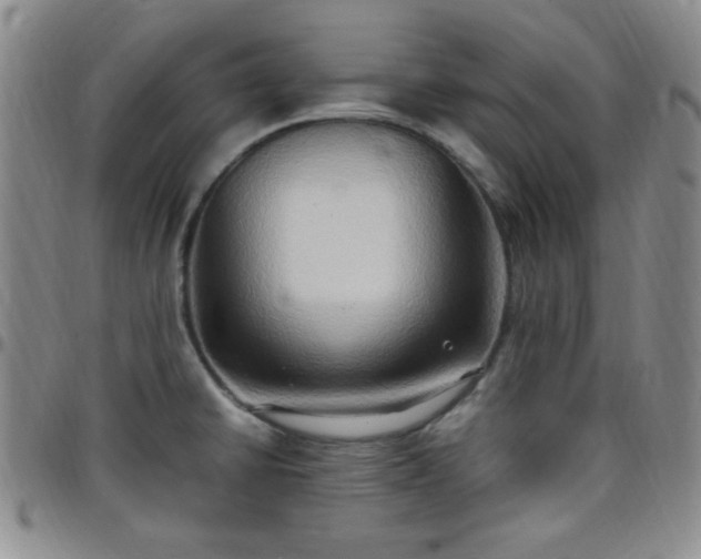 X0000099231430200805011127