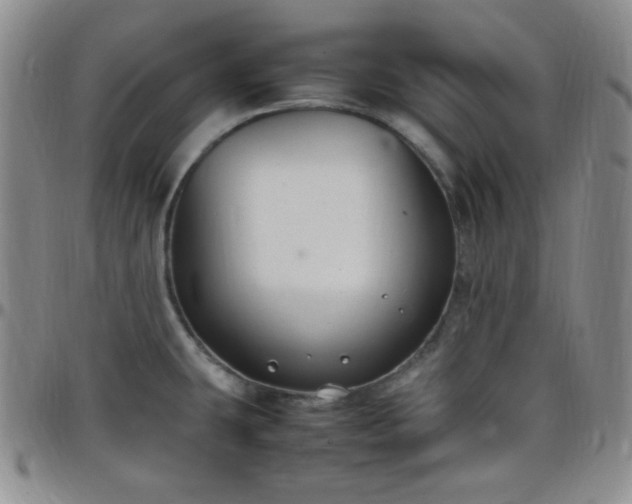 X0000099231431200805011127