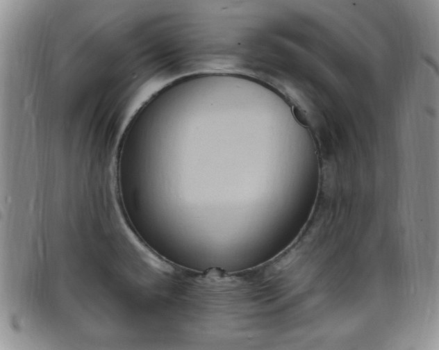 X0000099231432200805011127