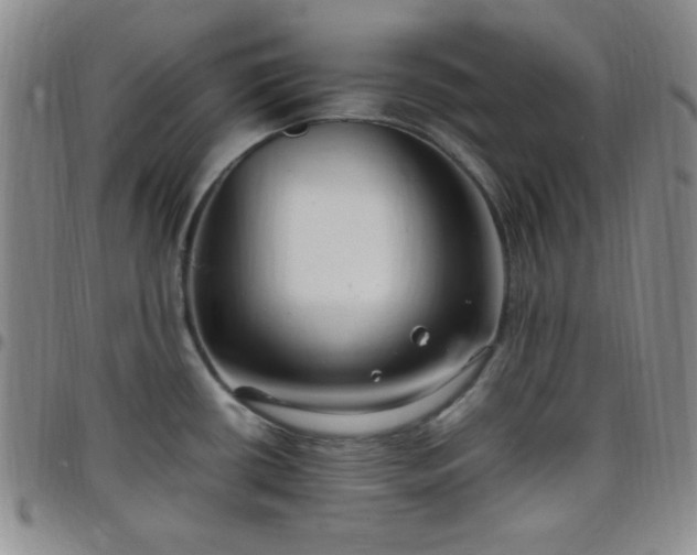 X0000099231434200805011127