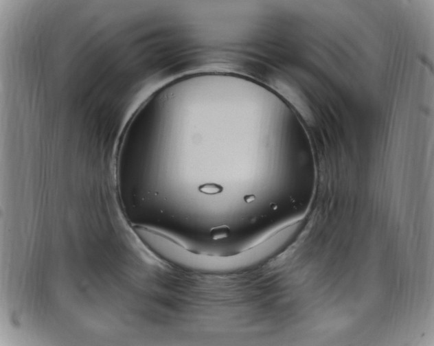 X0000099231436200805011127