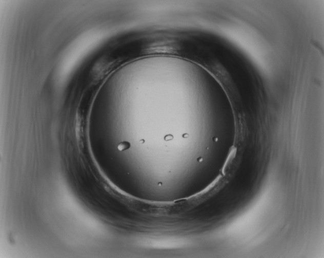 X0000099231438200805011127