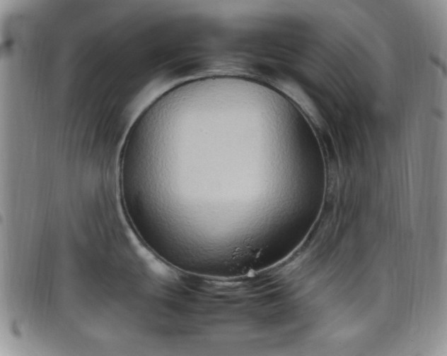 X0000099231439200805011127