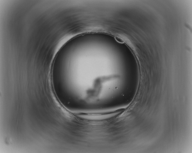 X0000099231440200805011127