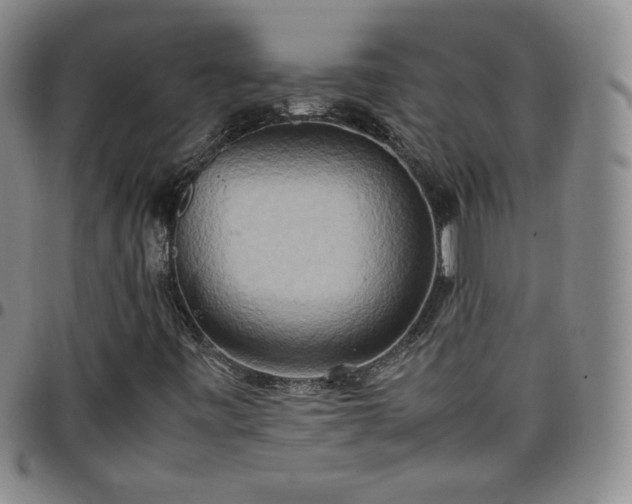 X0000099231443200805011127