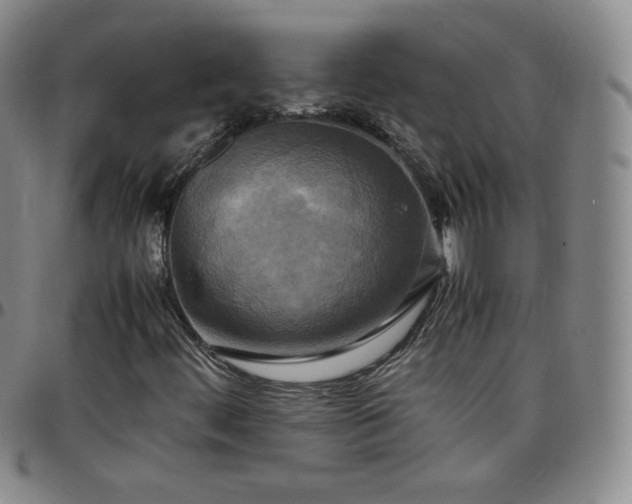 X0000099231444200805011127