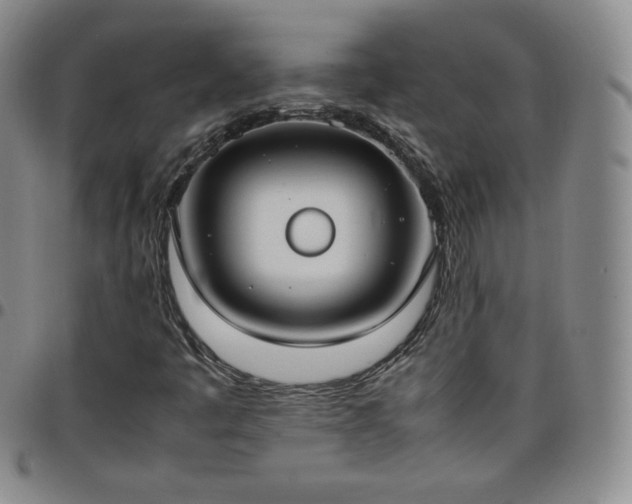 X0000099231445200805011127