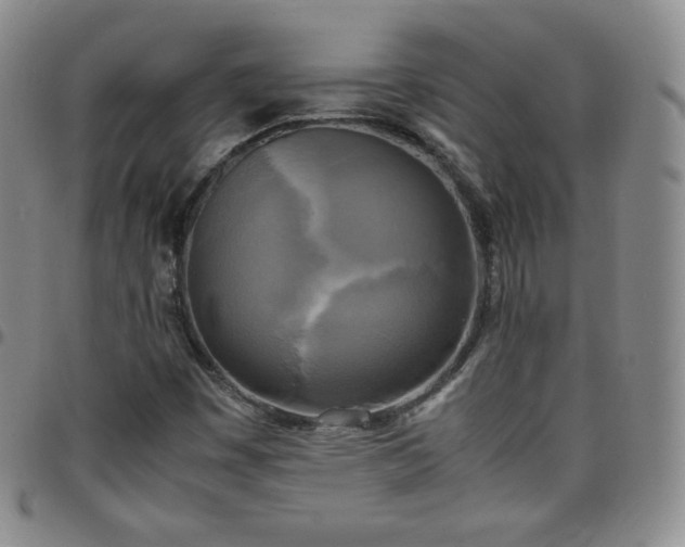 X0000099231449200805011126