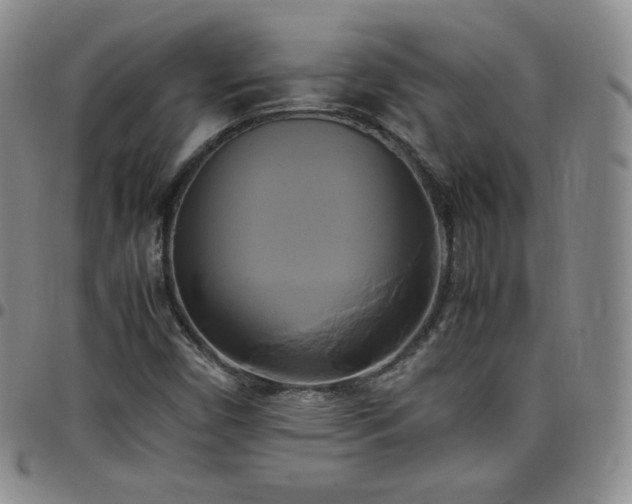 X0000099231450200805011126