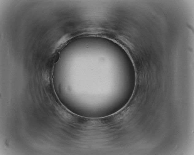 X0000099231451200805011126