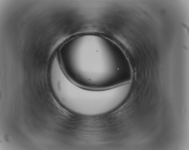 X0000099231452200805011126