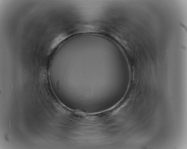 X0000099231453200805011126