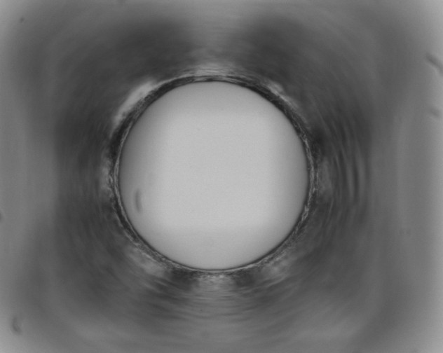 X0000099231454200805011126