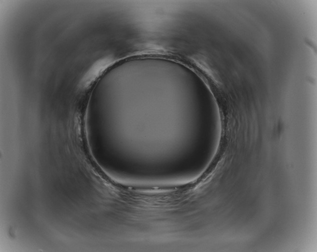 X0000099231455200805011126