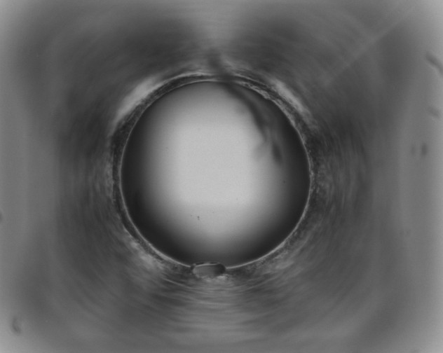 X0000099231456200805011126