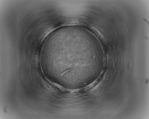 X0000099231457200805011126