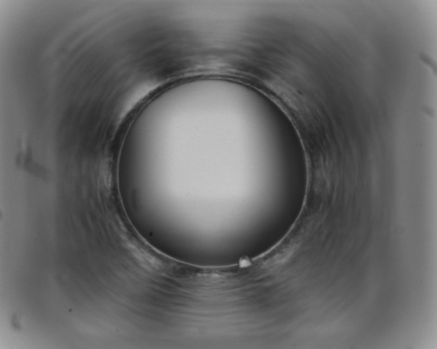 X0000099231458200805011126