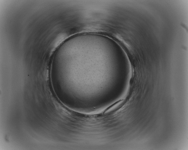 X0000099231459200805011126