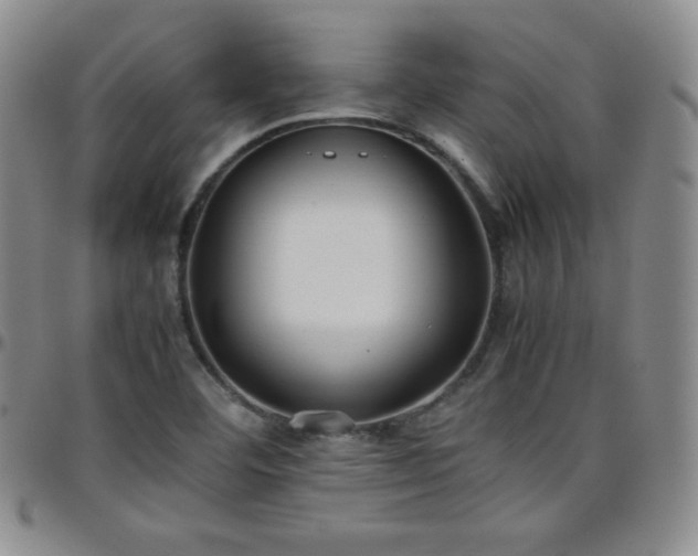 X0000099231460200805011126