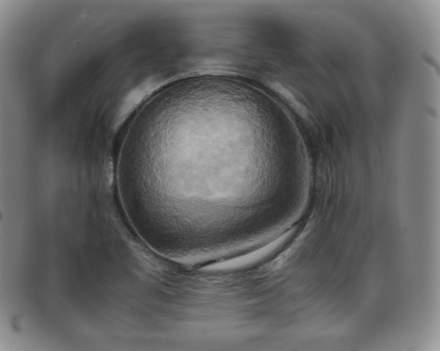 X0000099231461200805011126