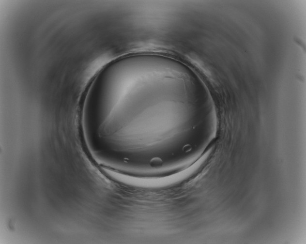 X0000099231463200805011126