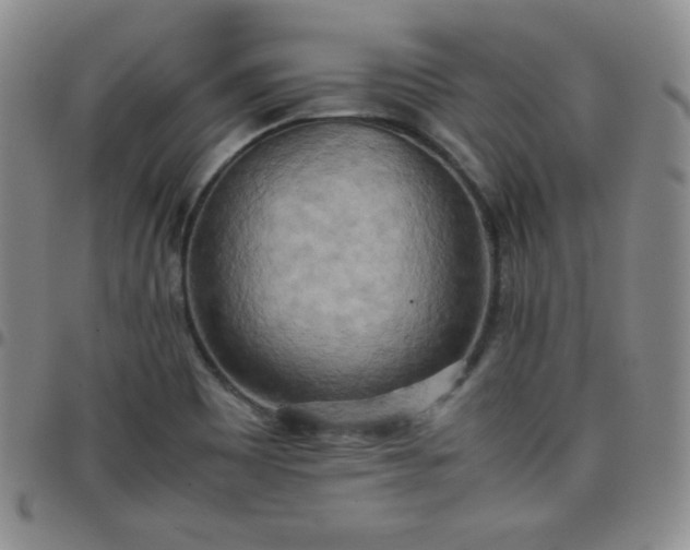 X0000099231465200805011126