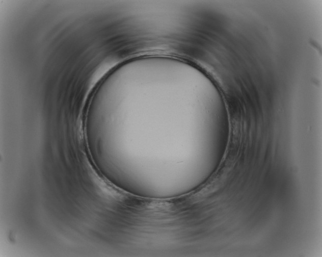 X0000099231466200805011126