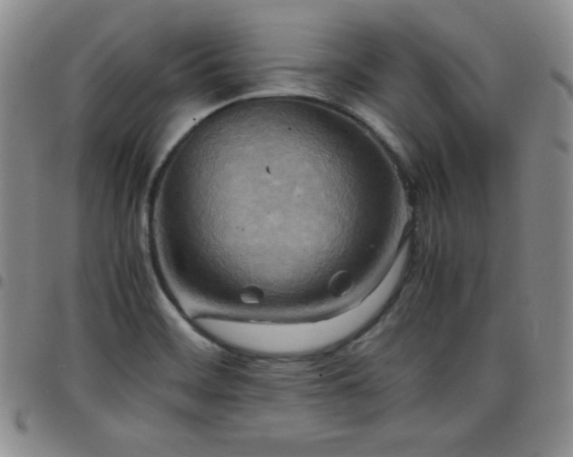 X0000099231468200805011126