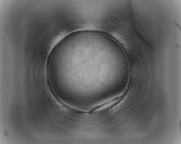 X0000099231469200805011126