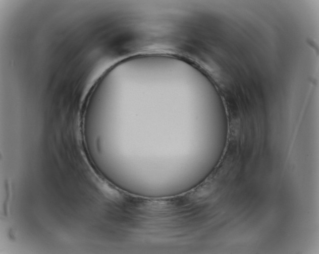 X0000099231470200805011126