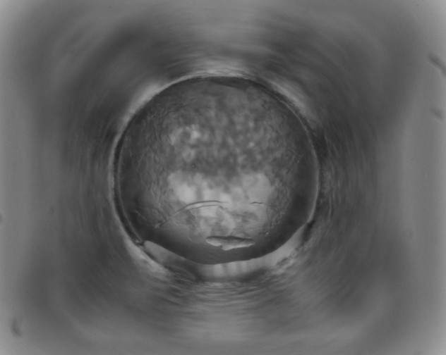 X0000099231471200805011126