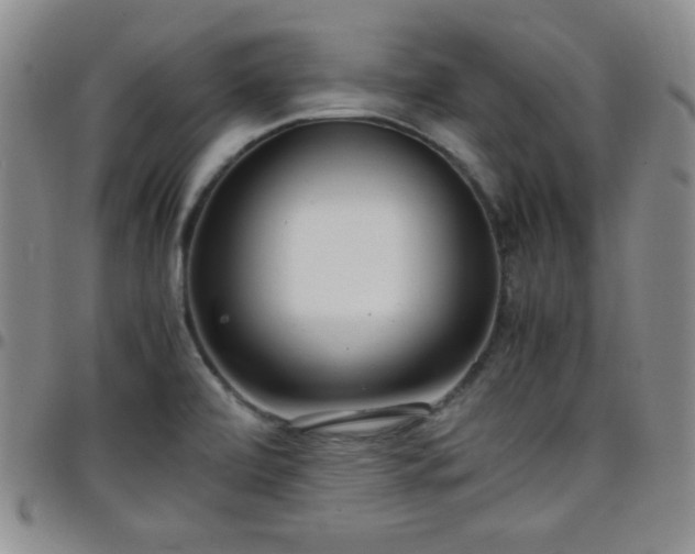 X0000099231472200805011126