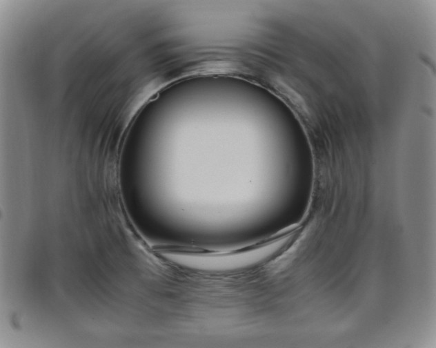 X0000099231473200805011126