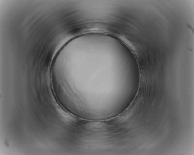 X0000099231474200805011126